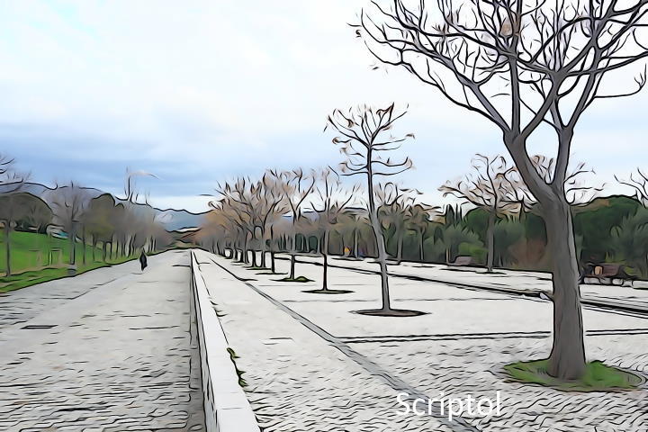 Photo drawing with Sony A5100 Photo drawing with Sony A5100