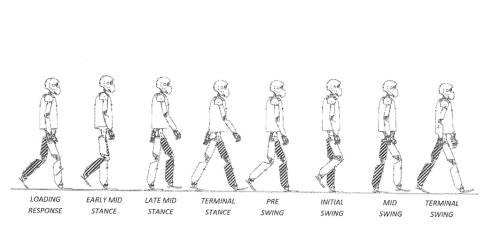 The walking robot