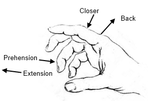 Moves of fingers