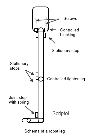 Squeleton of the leg of a robot