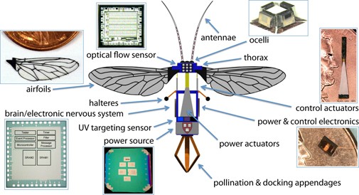 The architecture of the robot bee