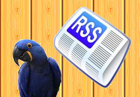 RSS ARA Editor